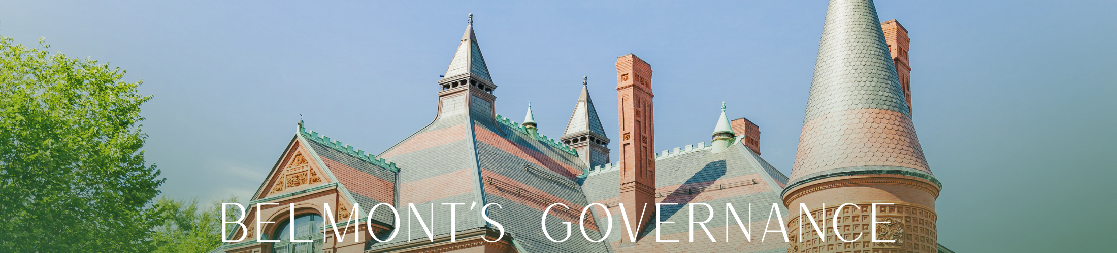 Belmont Governance Banner (2200 x 600 px)