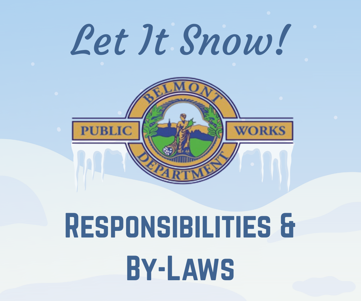 Let it Snow - News Flash Cover