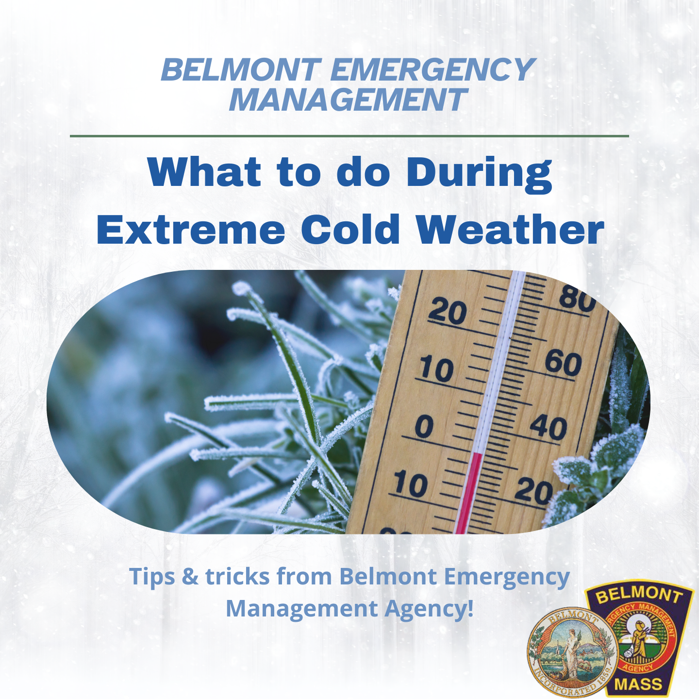 BEM Announcement Jan 2026