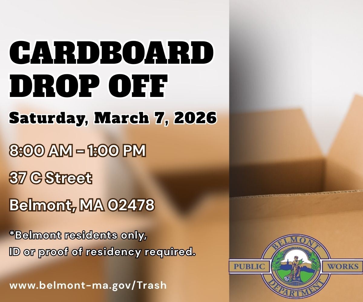 Cardboard Drop Off-News Flash Cover-V1