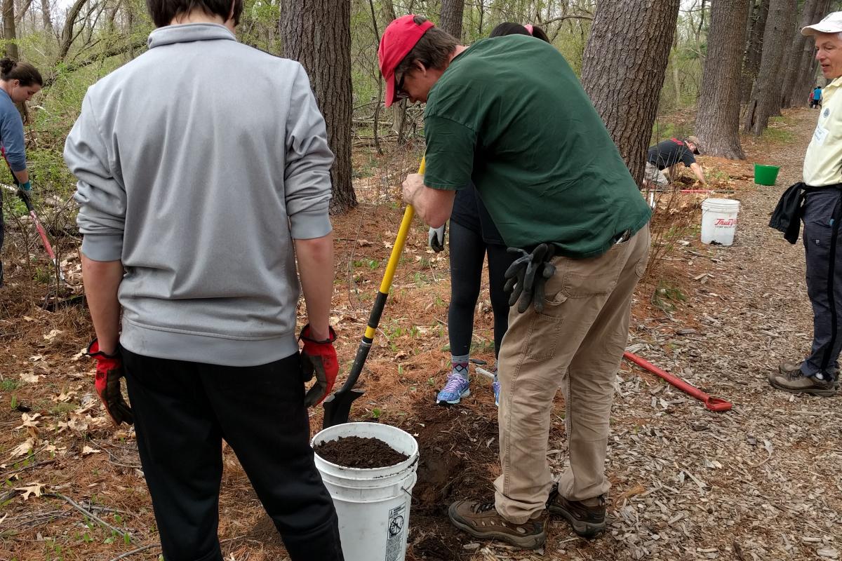 A volunteer spreads some soil on the ground.