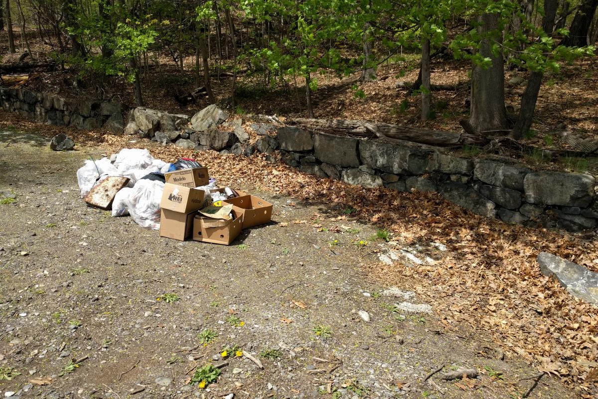 Trash collected from the woods