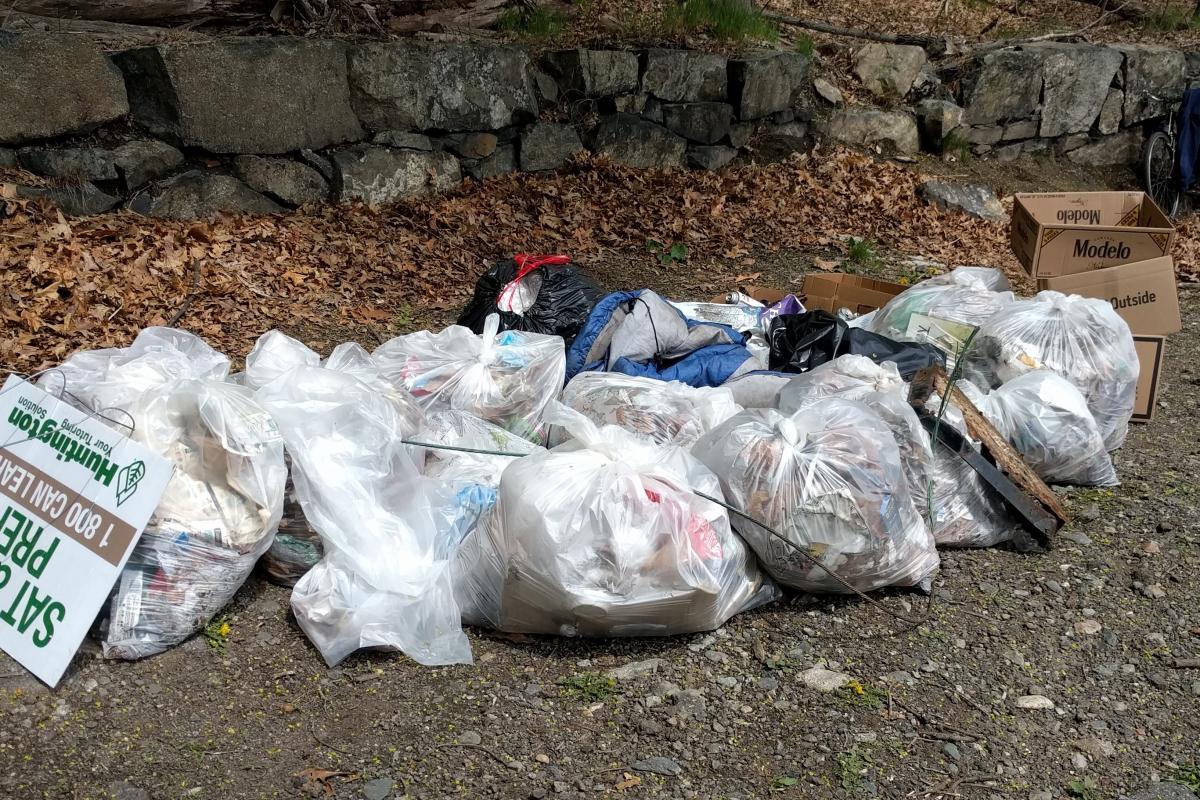 Bags of trash that have been collected